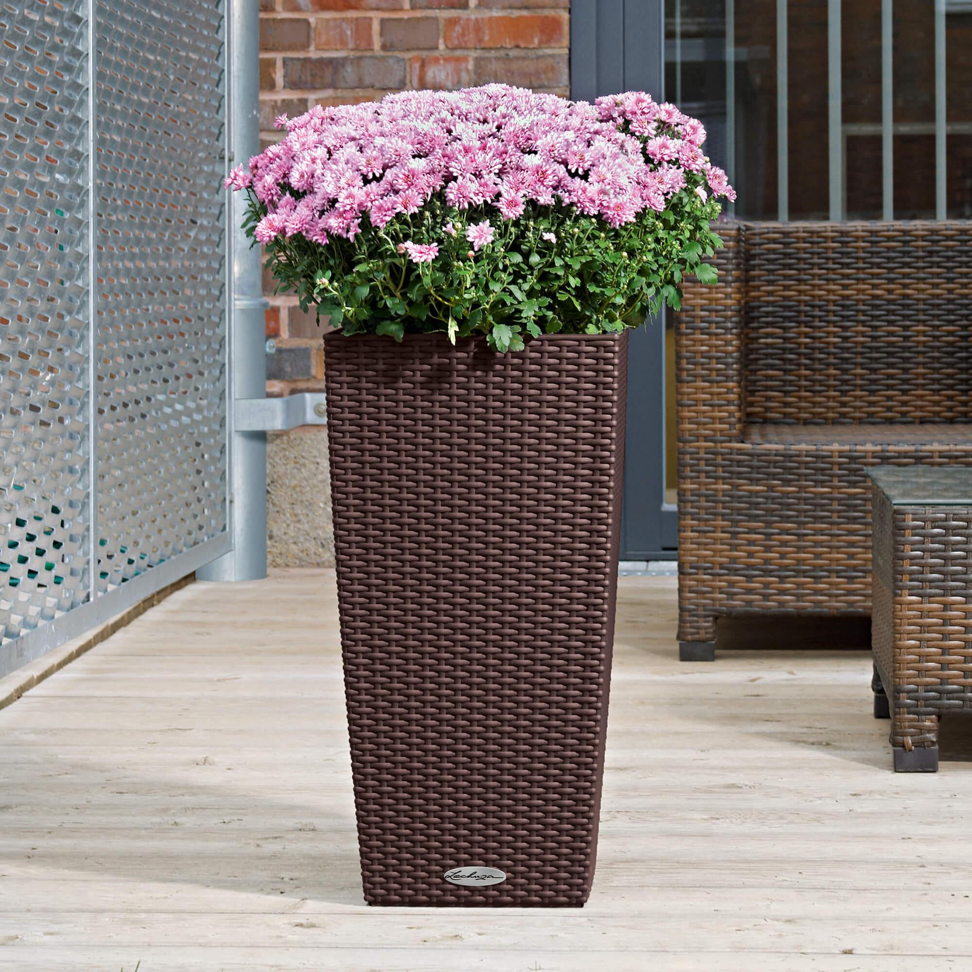 le_cubico-cottage40_product_addi_02